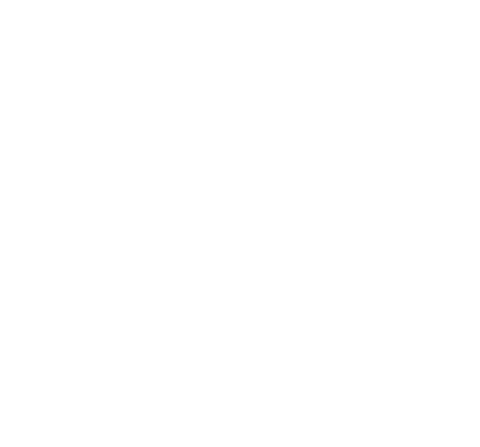 Aussie Skills Master